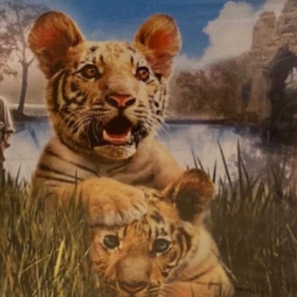 DVD Two Brothers  - Picture 2 of 6